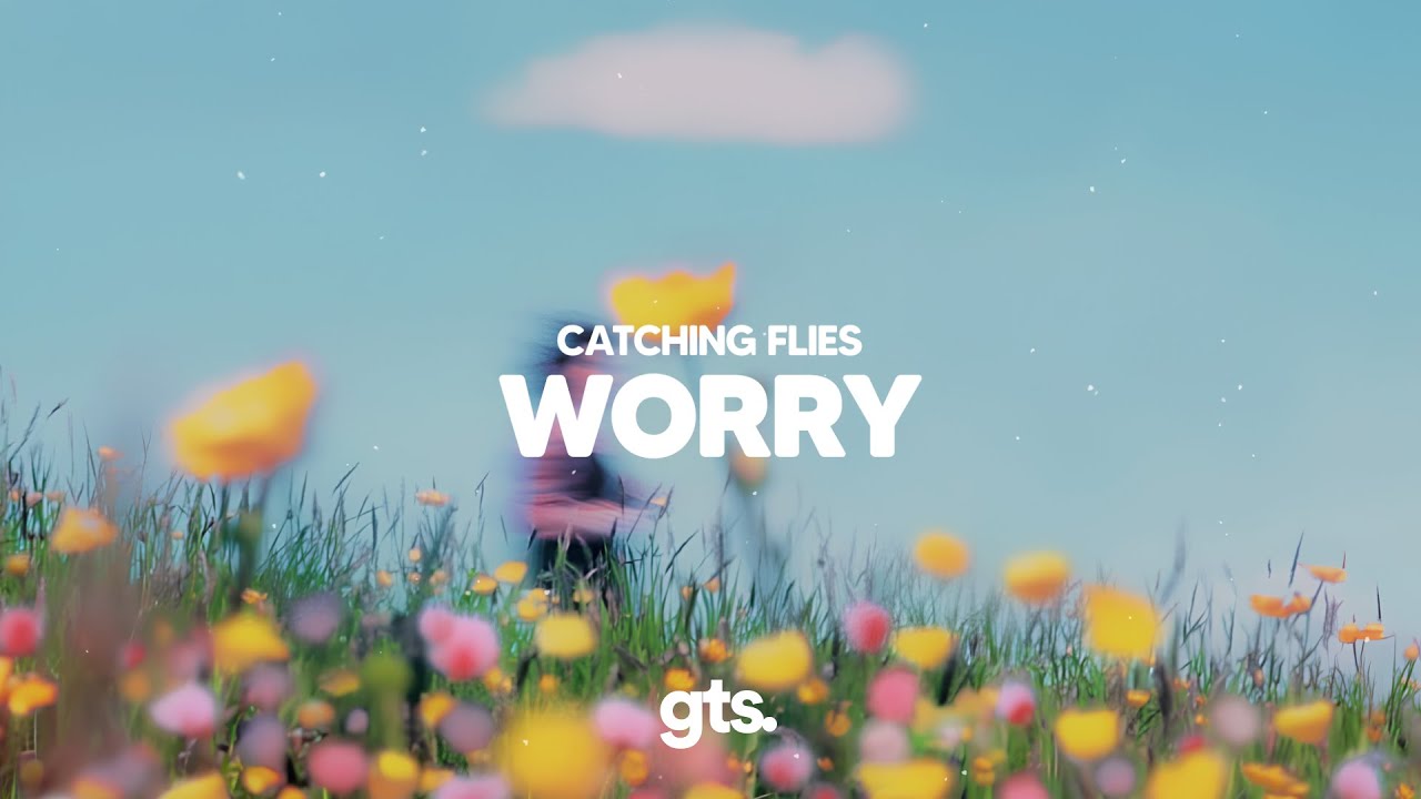 Worry Fly Catching Flies - WORRY. - YouTube