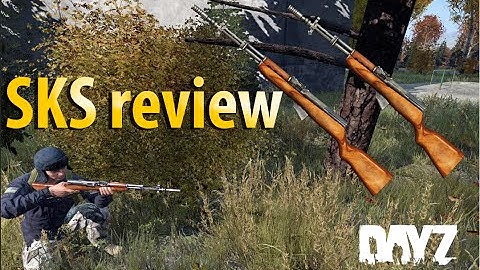DayZ Standalone - SKS review