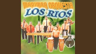 Video thumbnail of "Marimba Orquestra Los Rios - Blancas Margaritas"