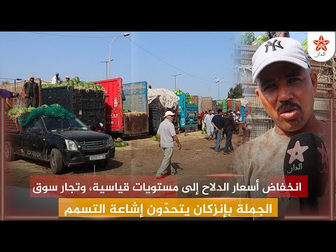 انخفاض أسعار الدلاح إلى مستويات قياسية، وتجار سوق الجملة بإنزكان يتحدّون إشاعة التسمم