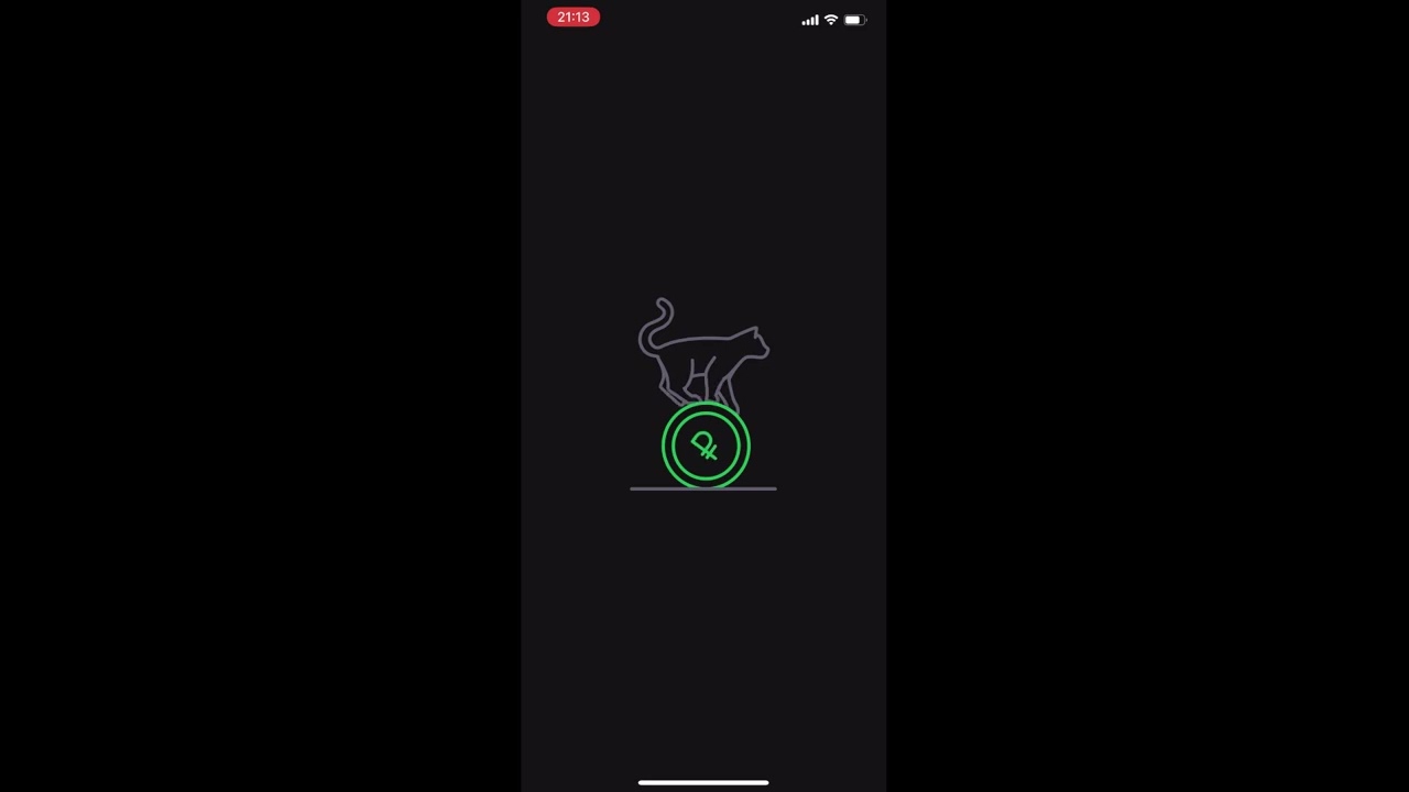 Оплата СБП на мобильном сайте продавца. PayMaster