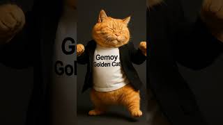 Funny Dancing Cat Gemoy Grooving To Its Favorite Music