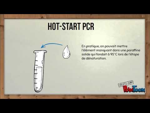 Hot-Start PCR - YouTube