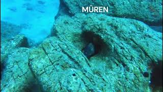 Datçadan Bir Takım Güzellikler