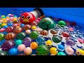 Water Marble Run ⭐︎ Wonderful time of water and balls &amp; Japanese shishiodoshi