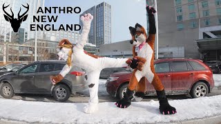 Anthro New England 2024 Con Video #ANE2024