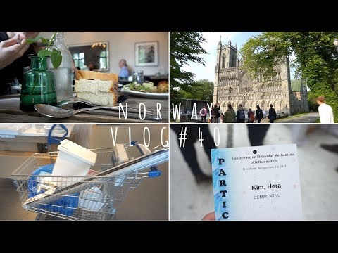 [Eng] 노르웨이 일상 #40ㅣ 잠시 돌아온 노르웨이ㅣ1주년 기념 데이트, 아키아 쇼핑, 이사, 컨퍼런스 ㅣNorway Vlog!