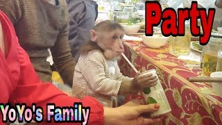 YoYo Family goes to a party |Cute baby monkey in new clothes|Family yoyo's|