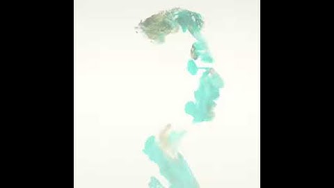 Get Free Hosting For 6 (six) Month