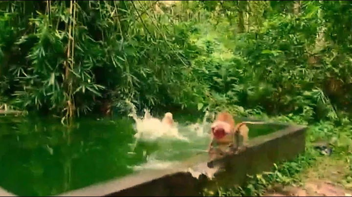 Wow, Truly super horrible Pixie monkey calling old...