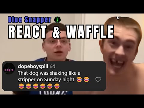 Blue Snapper REACTS to: DIABOLICAL Instagram Reel Comments | ricelord