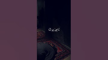 تلاوة خاشعة بصوت ماهر المعيقلي #سورة_الكهف