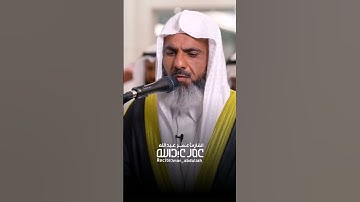 القارئ عمر عبدالله سلطان سورة إبراهيم تلاوة عجيب ماشاءالله omar abdullah sultan