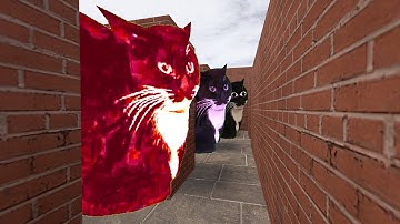 try to run away from maxwell cat family in maze..