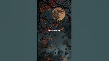 سورة غافر (39)