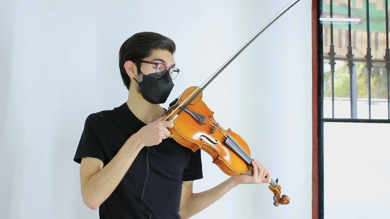 Consejos para comprar un violín para principiantes - Islamúsica