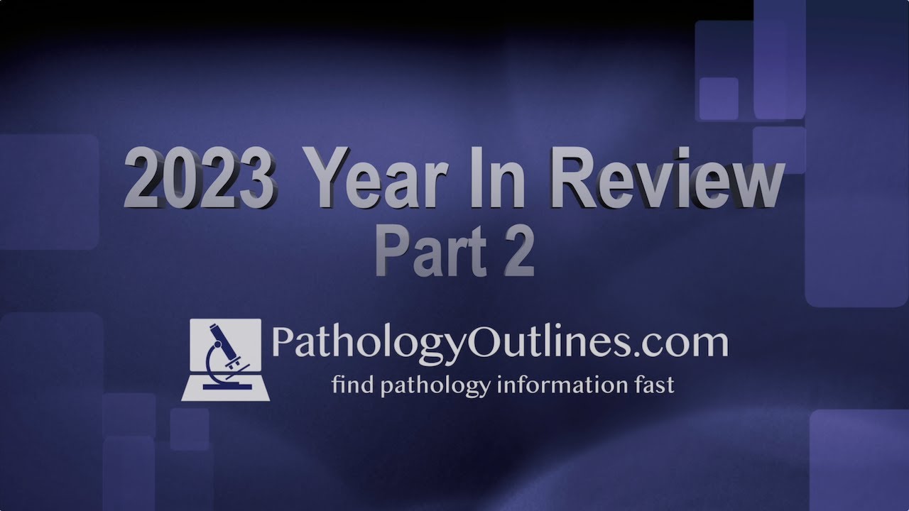 2023; The Year In Review, Part 2 - YouTube