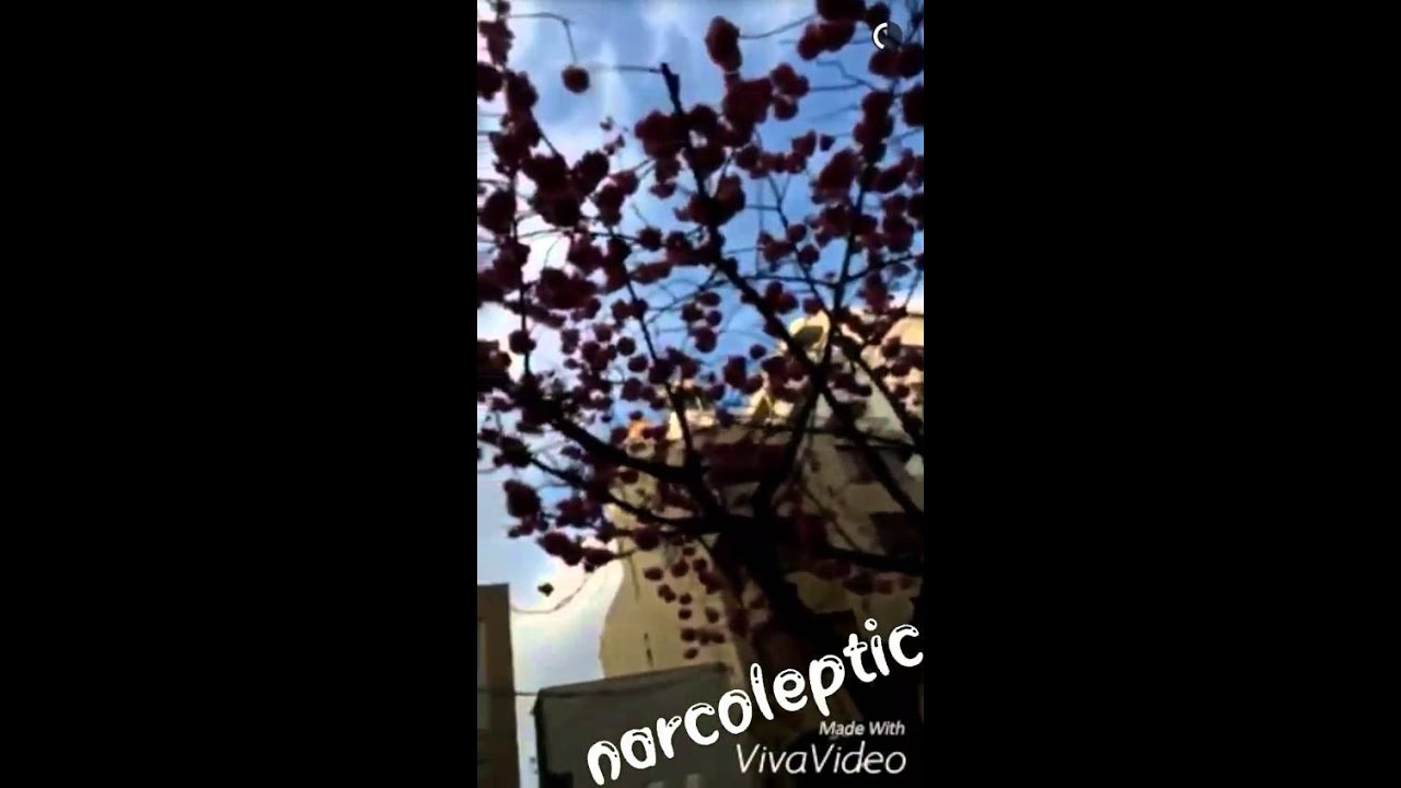 Kiss under the cherry blossom (TOMIHO in Japan) - YouTube