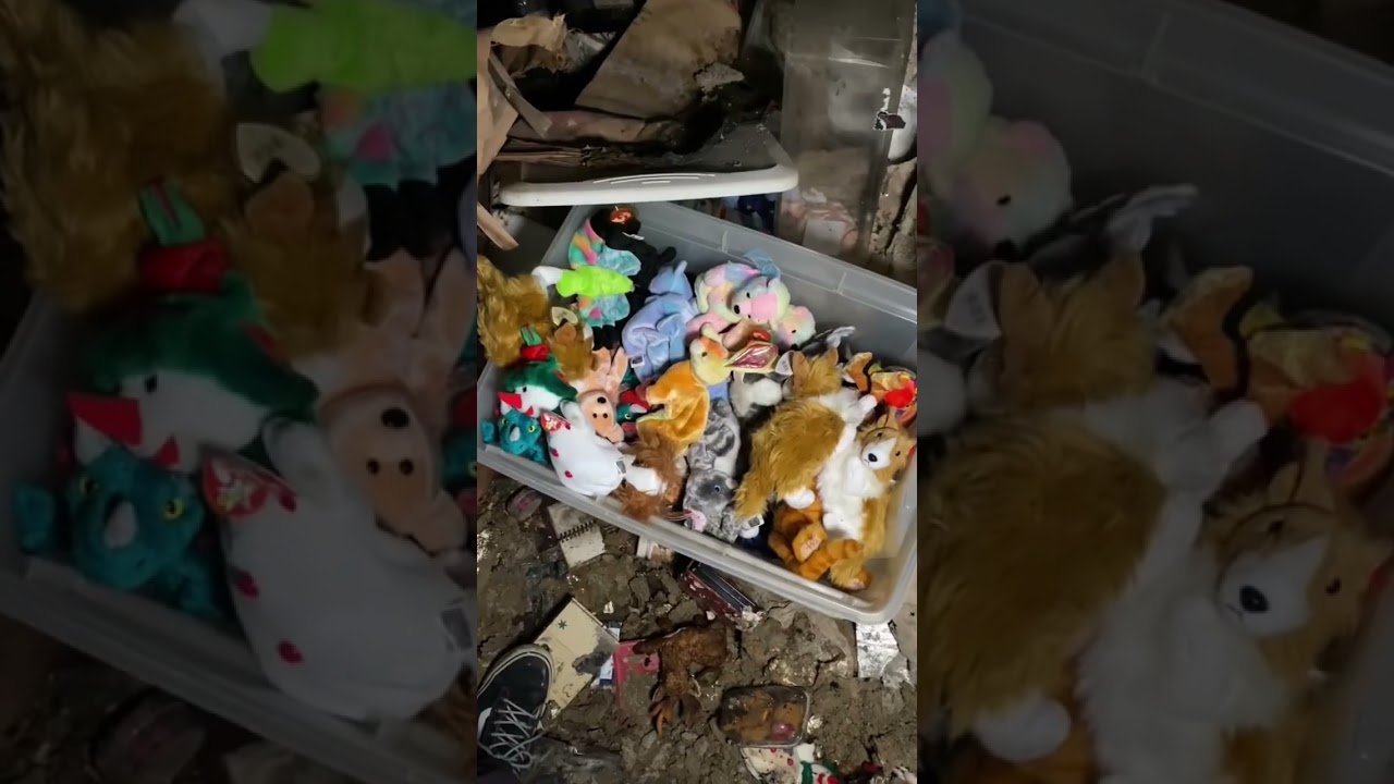 Found Vintage Pokémon In An Abandoned Mansion 