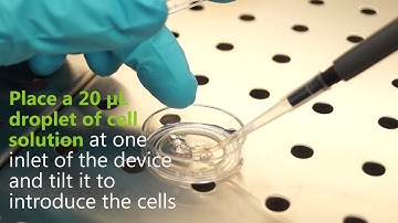 4Dcell Microchannels kit - Plate the cells into the microchannels 7/7