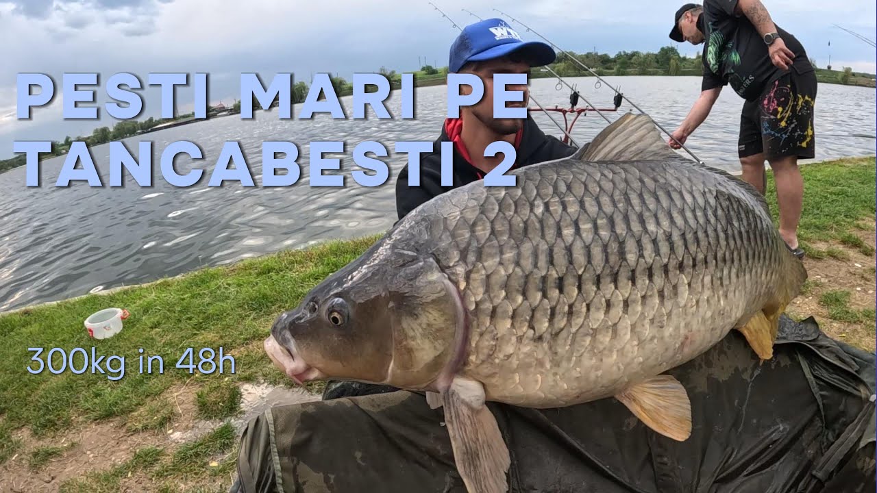 Prima data pe lacul Tancabesti 2 --- PESTI MULTI SI MARI(300kg) in doar 48H❗❗