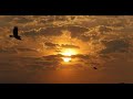 تصوير لحظة شروق الشمس من مصر