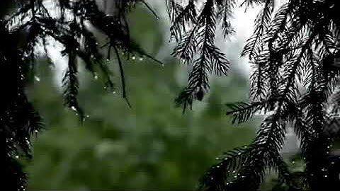 سورة العاديات كاملة تلاوة القارئ عبدالرحمن مسعد