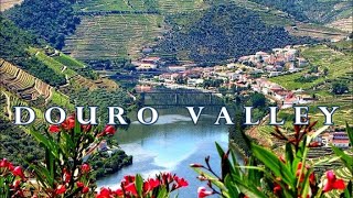Douro  Valley   Portugal