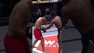 wow live boxing shorts comedy
