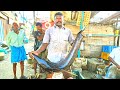 22 KG Big Kola Fish Slices Cutting/ RS.150 Per KG / Mr Kasimedu Selvam CT 360*