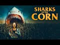 Sharks of the corn  music