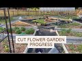 Cut Flower Garden Design and Progress from May!