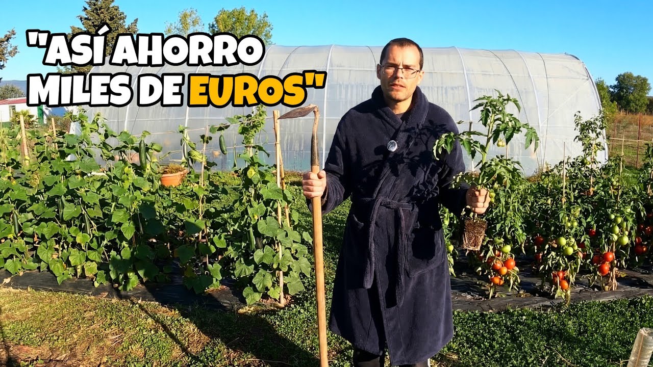 Las 5 razones por las que HACER UN HUERTO es la mejor actividad para tu tiempo libre.