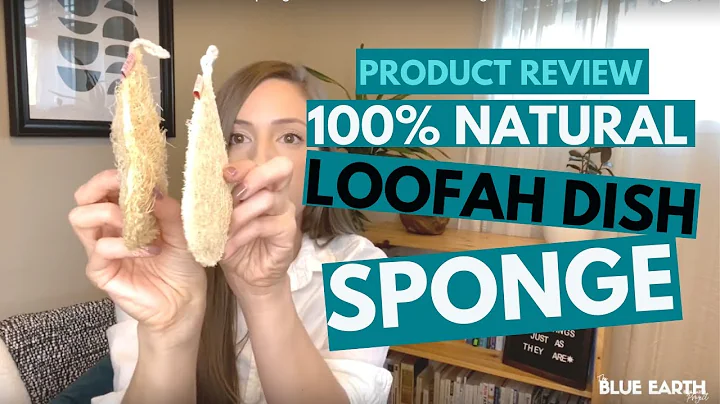 Product Review - Natural Loofah Dish Sponge - Zero Waste Ideas for Beginners