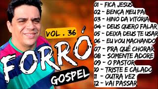 FORRÓ GOSPEL FICA JESUS HELDER LIMA VOL 36