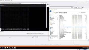 How to Multithread the Execution of a Single SSIS Package with C#