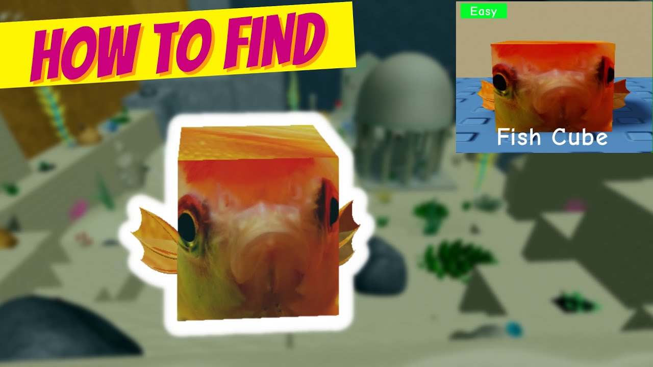 How to get the SOGGA CUBE BADGE & MORPH in FIND THE FLOPPA MORPHS