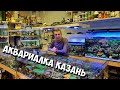 Аквариалка г. Казань