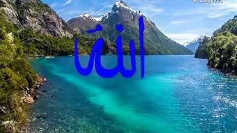 (وَقَضَىٰ رَبُّكَ أَلَّا تَعْبُدُوا إِلَّا إِيَّاهُ وَبِالْوَالِدَيْنِ إِحْسَانًا) تلاوة تزلزل القلو