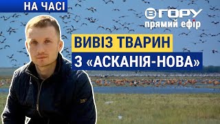 Окупанти відкрили заповідник "Асканія-Нова" для відвідувачів? Вгору | На часі