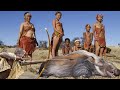 Hadza tribe  poison arrow hunting and making with the hadza