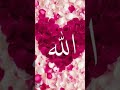 Vo mera nabi hai #allah #nabi #trending #shorts💞❤