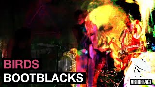 Bootblacks - Birds