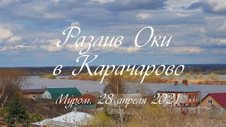 Разлив Оки, Карачарово, Муром, 28 апреля 2021, Oka River flooded, Karacharovo, Murom, April 28, 2021