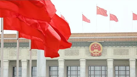 The NPC Watchlist - 天天要聞