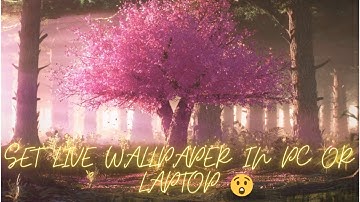 SET VIDEO AS WALLPAPER IN PC OR LAPTOP !! WINDOWS 7/8.1/8/10/11| CODER BOY | Jaival Ripal Trivedi