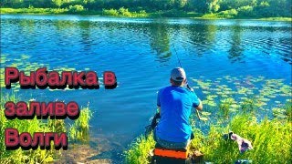 Хочу ещё!!!  Рыбалка на Волге 2021. Рыбалка на фидер. Плотва на удочку. Рыбалка в Нижнем Новгороде