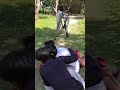 29 March 2025 Comedy funny 🤣🤣🤣 flims Masti 🤣🤣🤣👉#viral #shrots #video #viral #comady #youtabe_short_