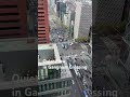 Daytime serenity in Gangnam 🏙️ | 癒やしの江南 #seoul #gangnam #crossing