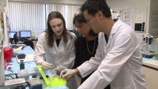 Alzheimer's Disease & The Female Brain @ USC
